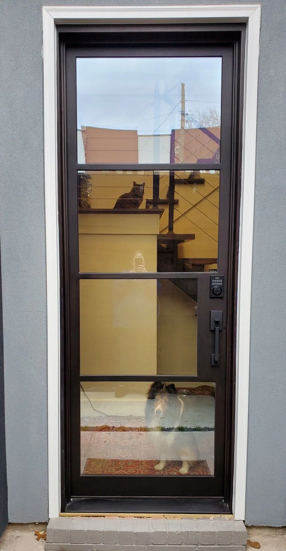 Design inspiration: Slim black steel single entry door with clear glass panels and modern hardware Slim black steel single entry door with clear glass panels and modern hardware