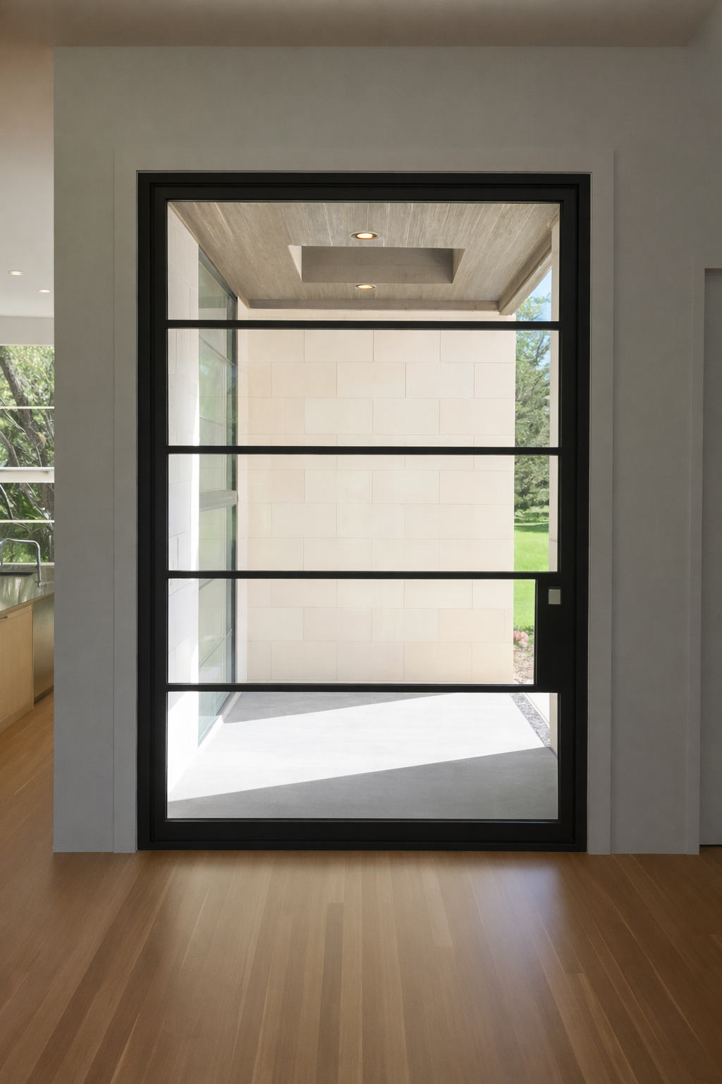 Modern pivot door with slim dark framing and premium pull hardware
